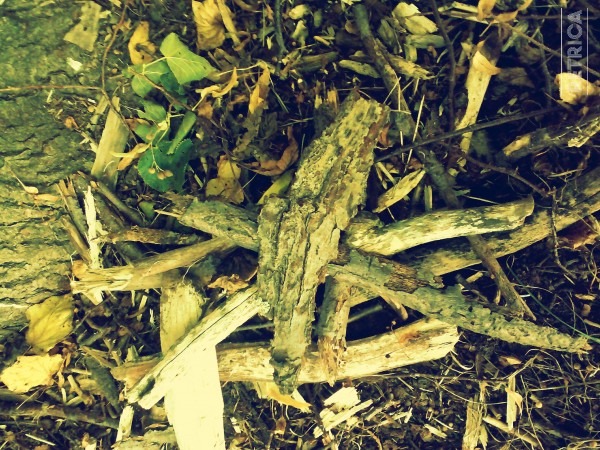 by me